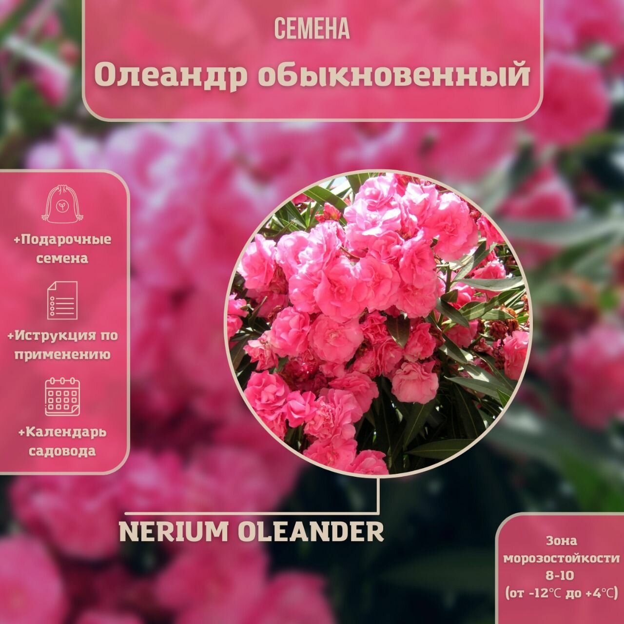 Олеандр обыкновенный (лат. Nerium Oleander) семена 20шт + подарочек