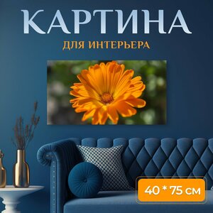 Картина на холсте "Календула, ноготки, сложноцветные" на подрамнике 75х40 см. для интерьера