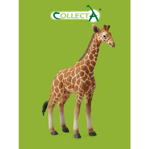 Фигурка Collecta Жеребенок сетчатого жирафа 88535b, 22 см collecta коллекционная статуэтка фризский жеребенок
