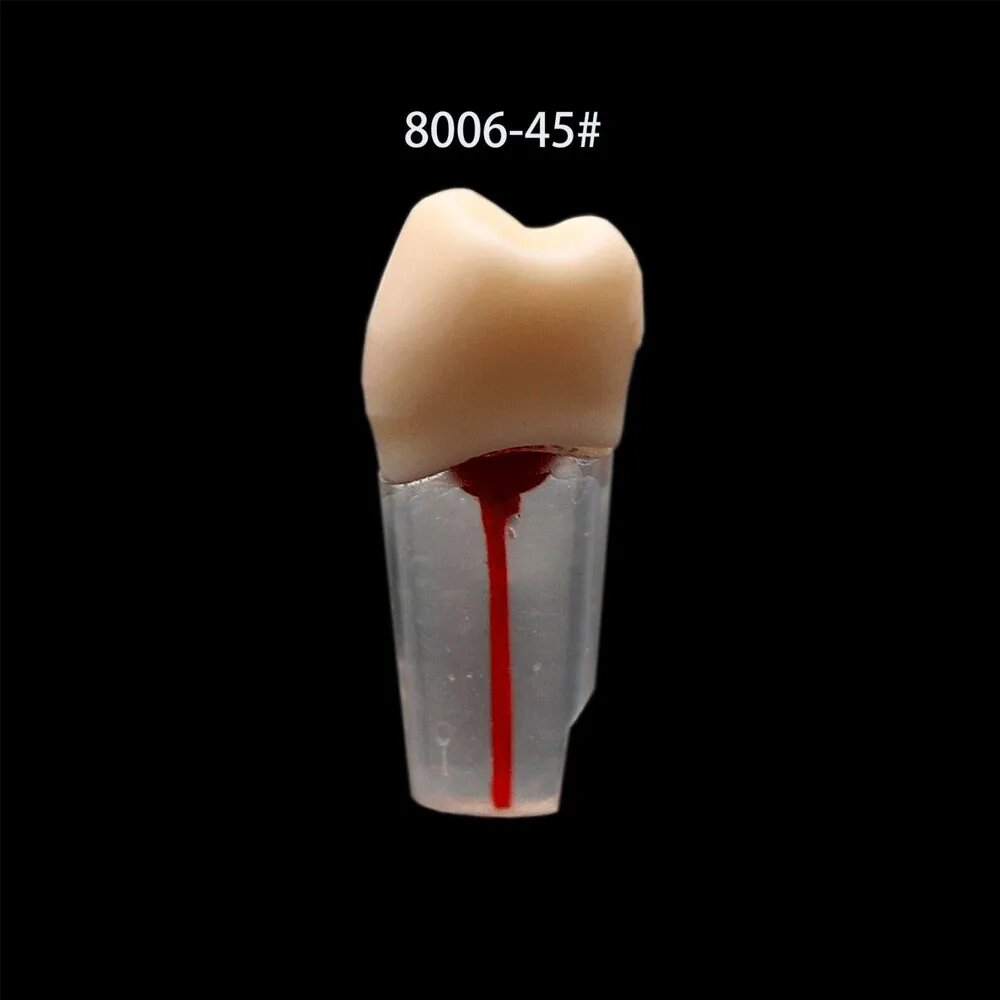 OLEVO M8006/M8007 модель корневого канала из смолы для эндодонтического обучения, M8006-45