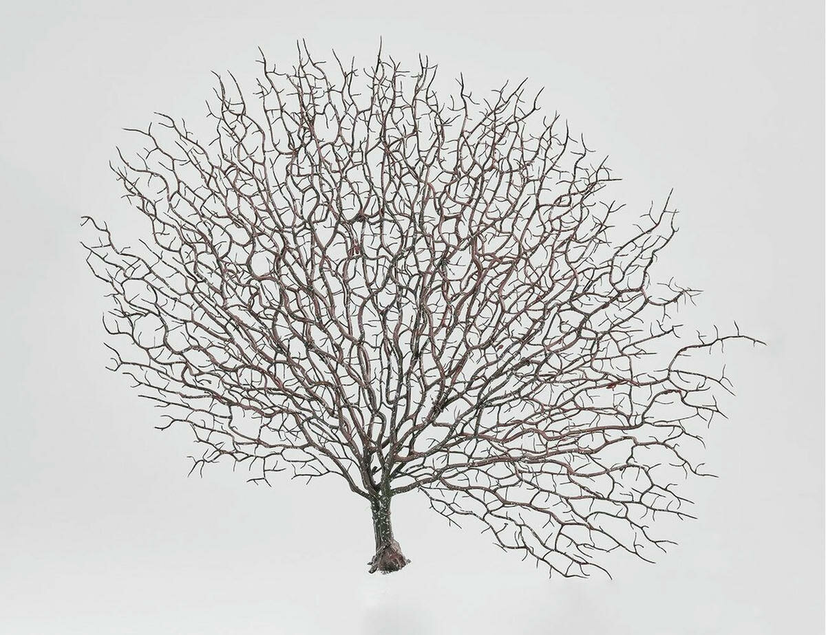 Декоративная ветка, пластик, 58 см, EDG