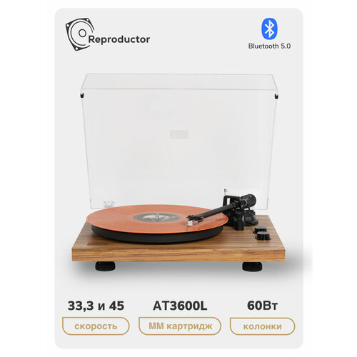 Виниловый проигрыватель Reproductor RP-LPX500SPOK