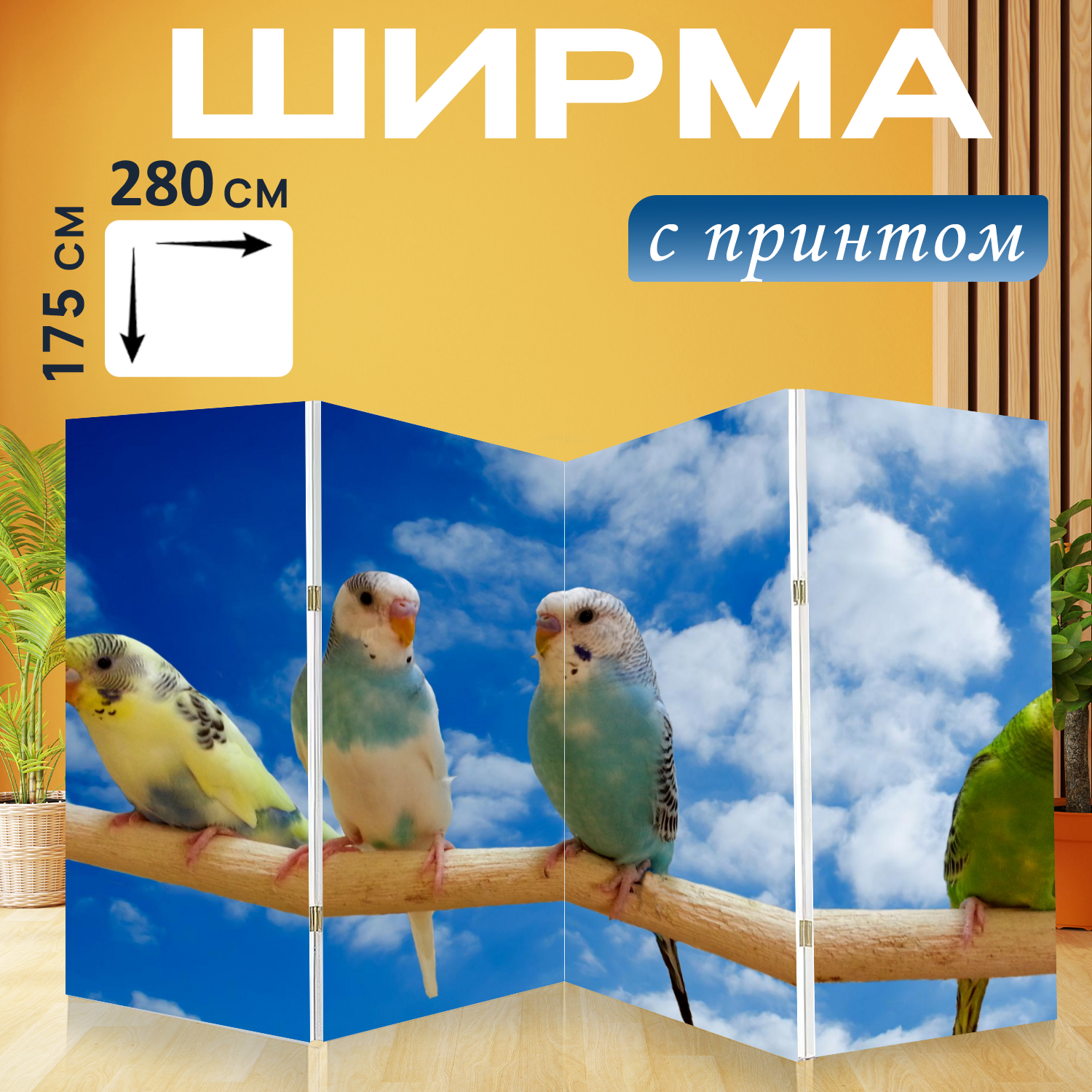 Ширма "Попугаи Волнистые попугайчики на окуня до неба волнистых попугайчиков волнистый попугайчик попугаи." перегородка для зонирования комнаты с принтом 280x175 см. на холсте
