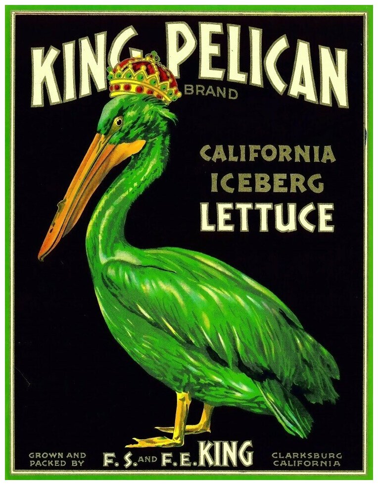 Плакат, постер на бумаге King Pelican/Королевский Пеликан. Размер 21 на 30 см