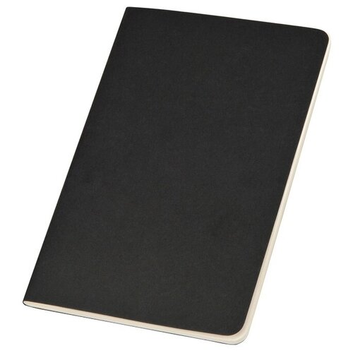 Записная книжка Moleskine Cahier (нелинованный, 1 шт.), Large (13х21см), черный