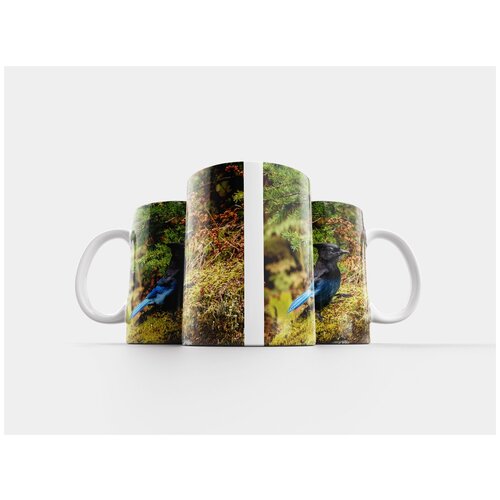 фото Кружка "diademhäher, птица, stellers джей" 320 мл lotsprints