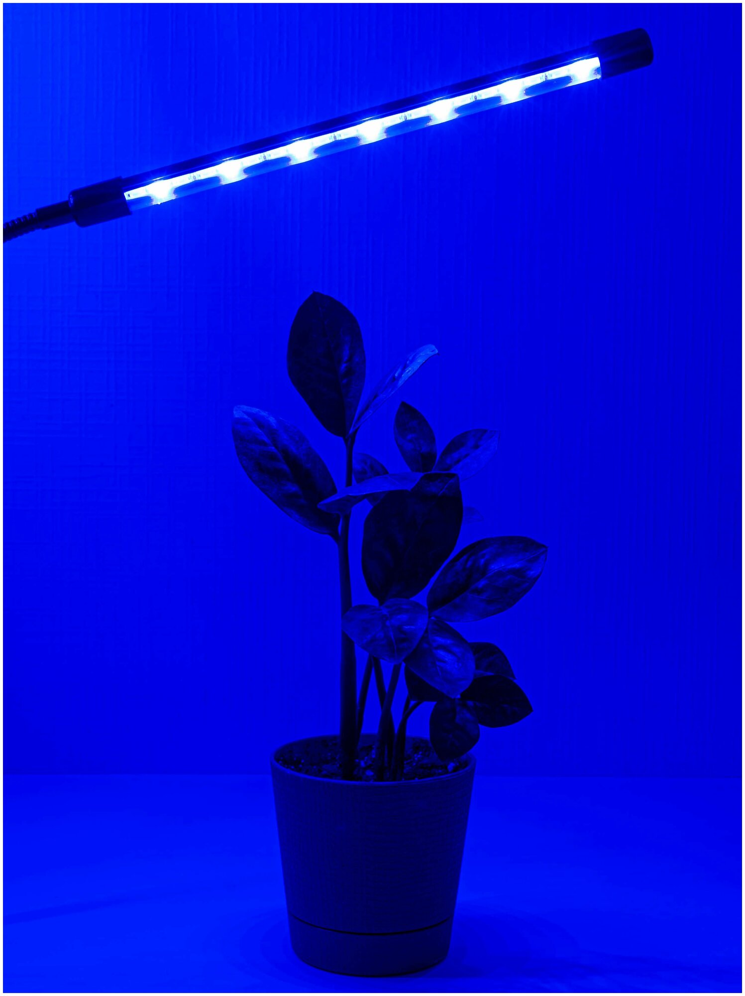 Фитолампа для растений светодиодная полного спектра. Фитолампа для рассады. Светильник лампа LED на прищепке с таймером, 3 лампы - фотография № 15