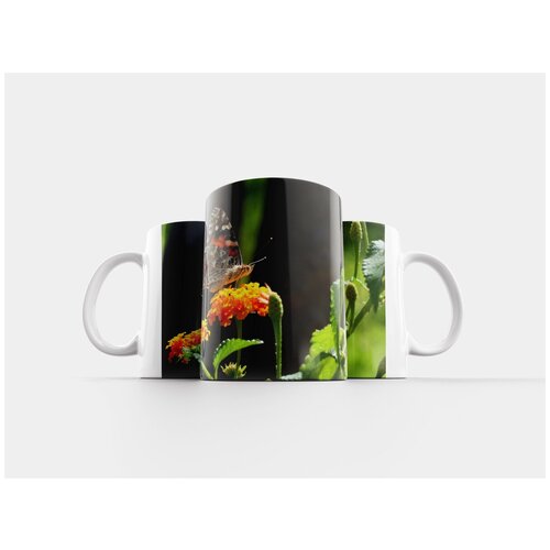 фото Кружка "бабочка, макро, закрыть" 320 мл lotsprints