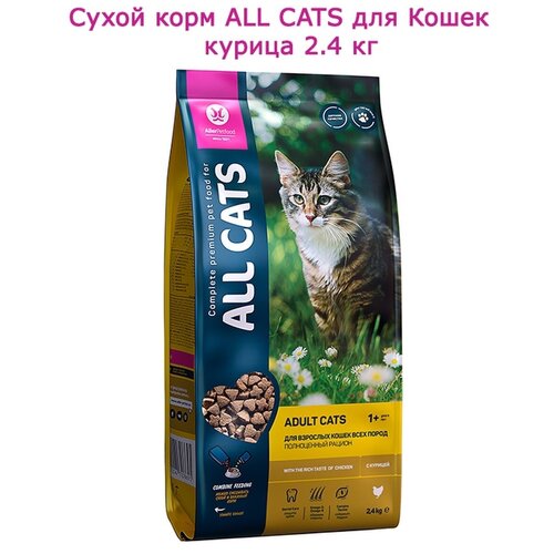 ALL CATS Корм для кошек сухой с курицей, пп, 2,4 кг