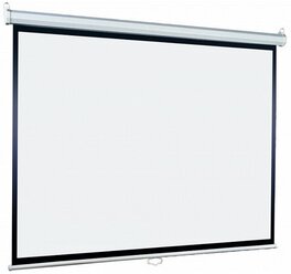 Экран Lumien 127x200см Eco Picture LEP-100122 16:10 настенно-потолочный рулонный