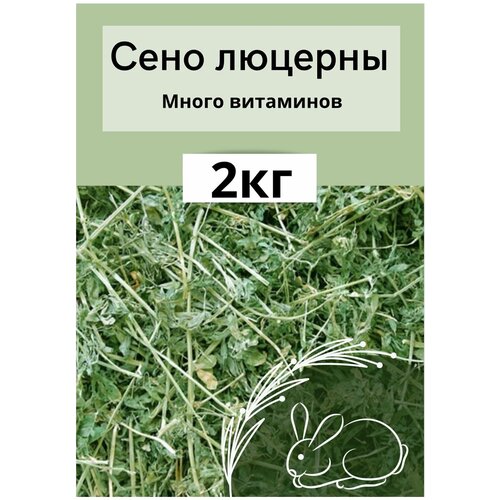 Сено люцерны для грызунов и кроликов