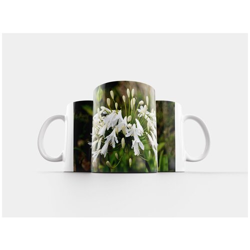 фото Кружка "цветок, декоративный лук, завод" 320 мл lotsprints