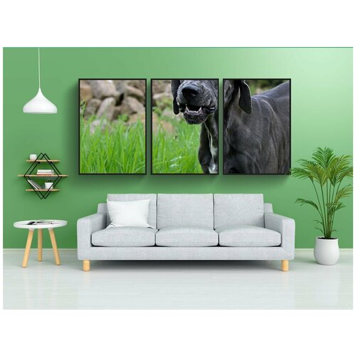 фото Набор модулных постеров для интерьера "собака, великий датчанин, щенок" 60x90 см. в тубусе, без рамки lotsprints