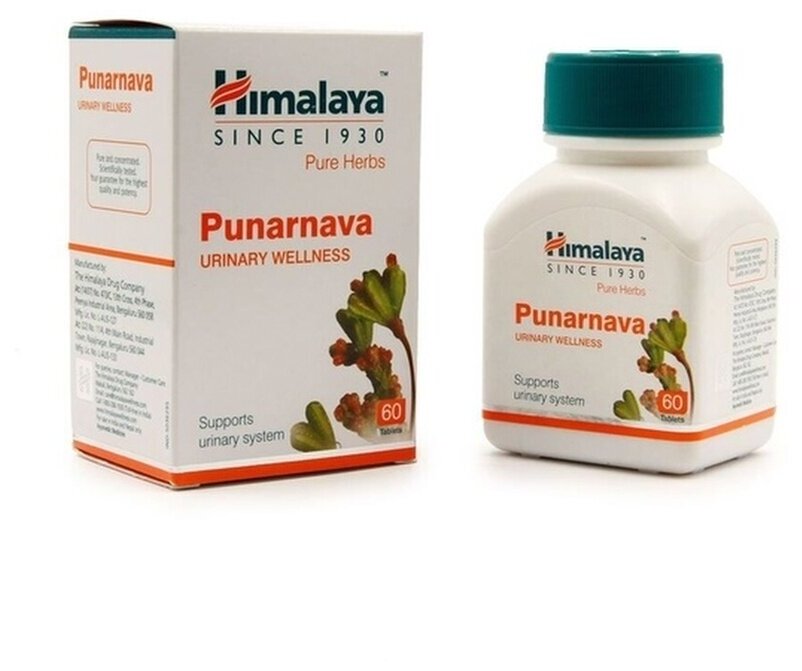 Punarnava