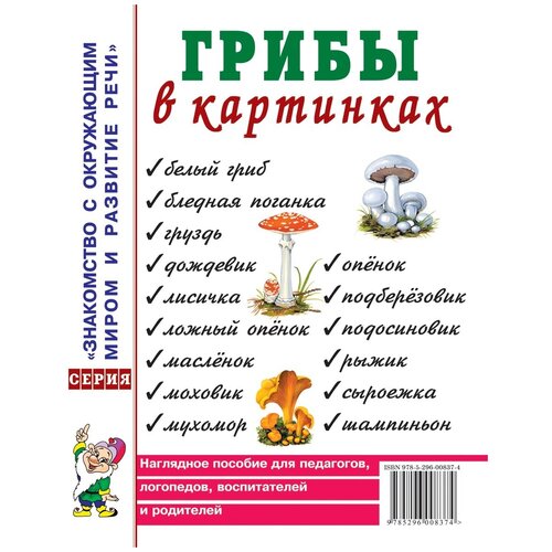 Грибы в картинках