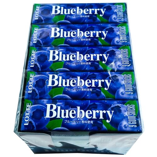 Жевательная резинка LOTTE Blueberry gum со вкусом голубики 31 грамм Упаковка 15 шт