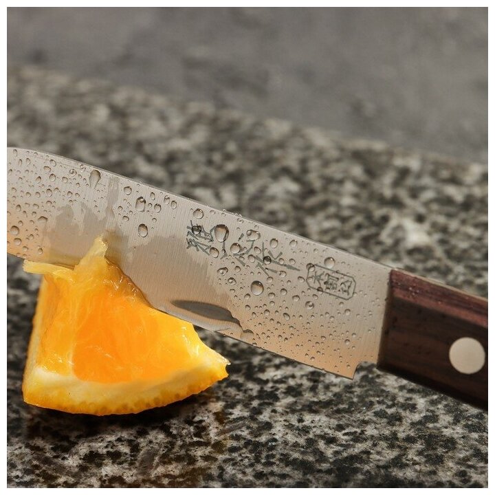Нож для чистки овощей и фруктов Kanetsugu Special Offer, 90 мм, сталь AUS-8/SUS410, 3 слоя, рукоять розовое дерево - фото №18