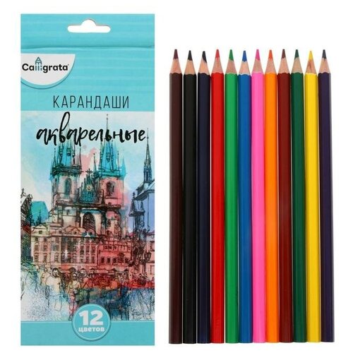 фото Calligrata карандаши цветные акварельные 12 цветов, заточенные, в картонной коробке nemarket