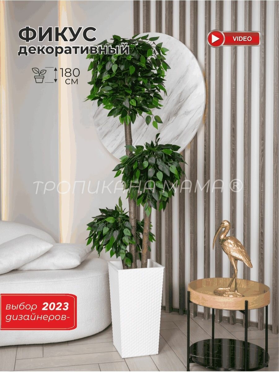 Искусственный фикус