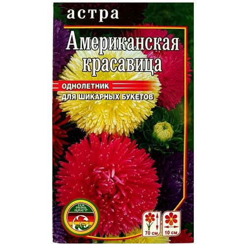 Семена Цветов Астра Американская Красавица однолетник 0,4гр