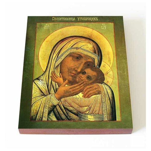 Икона Божией Матери Спасительница утопающих, печать на доске 13*16,5 см