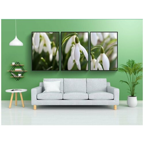 фото Набор модулных постеров для интерьера "подснежник, посыльный весны, весна" 60x90 см. в тубусе, без рамки lotsprints