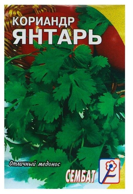 Семена Кориандр "Янтарь" 5 г