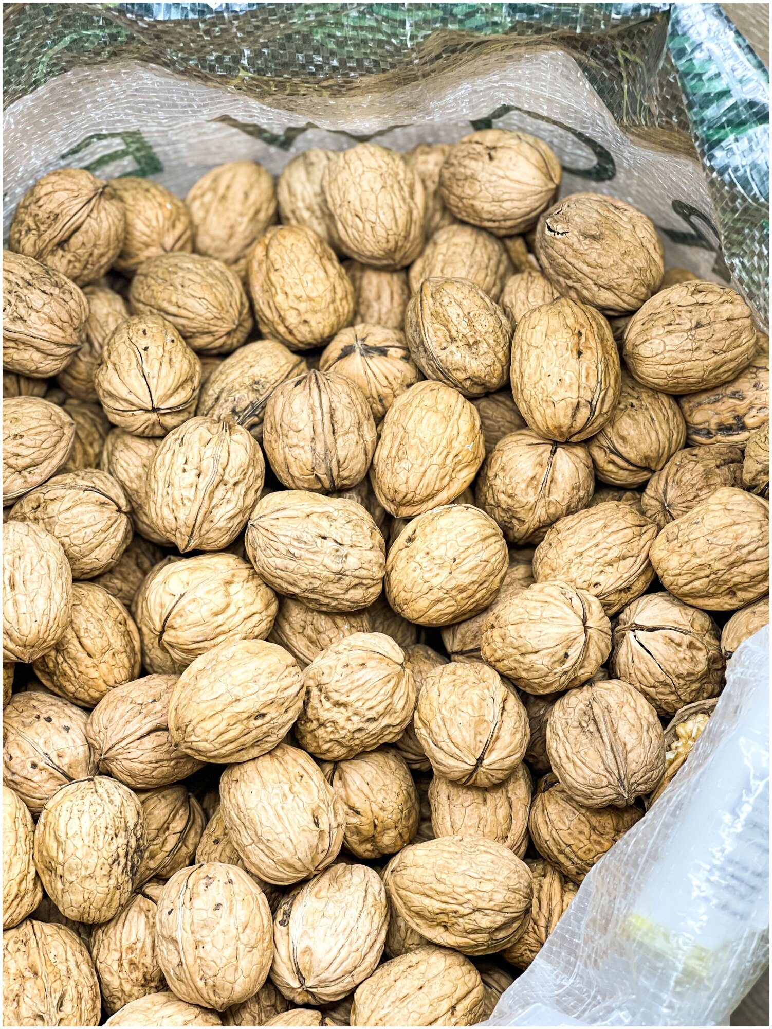 Грецкий орех в скорлупе GROWEX, калибр 36+ ( XL ), 10 кг., Чили, новый урожай 2023 - фотография № 2