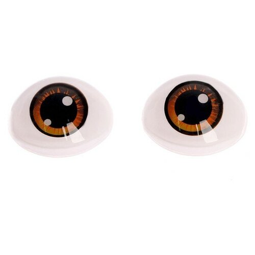 Глаза, набор 10 шт, размер 1 шт: 11,6×15,5 мм, цвет коричневый