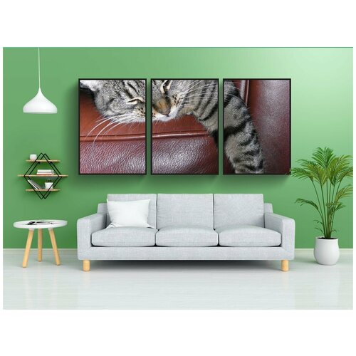 фото Набор модулных постеров для интерьера "кошка, полосы, ленивый" 60x90 см. в тубусе, без рамки lotsprints