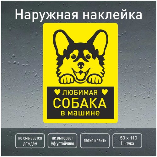 Наклейка на автомобиль собака в машине / корги в машине / наклейка15х11 см. наружная / Навигаторика