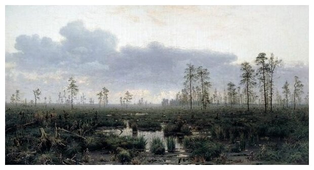 Репродукция на холсте Утро на болоте (Morning in the swamp) Менк Владимир 76см. x 40см.