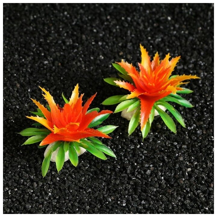 Пижон Аква Растение искусственное аквариумное, 11х9х6 см, (набор 2 шт), красно-оранжевый - фотография № 1