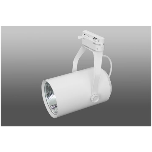 ShopLEDs Трековый светодиодный светильник DT-133 (30W, 4100K, однофазный, белый корпус)