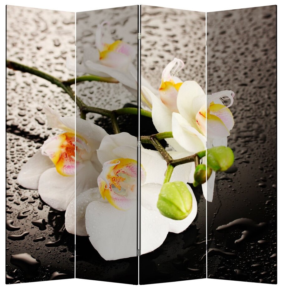 ПВХ Белая орхидея и капли - 4