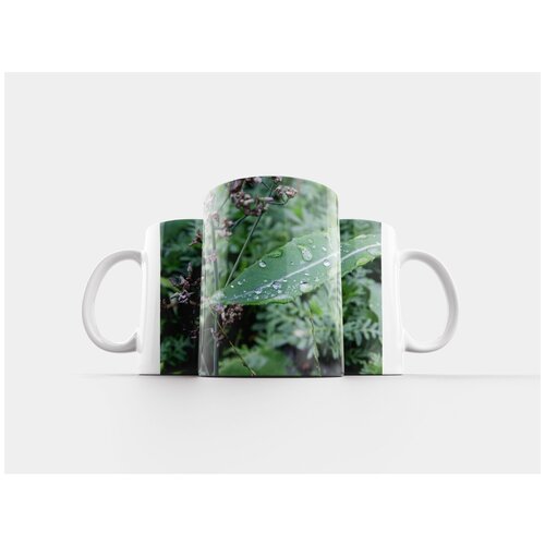 фото Кружка "капли воды, сорняки, лист" 320 мл lotsprints