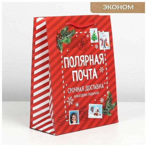 Пакет ламинированный вертикальный «Полярная почта», MS 18 × 23 × 8 см, Доступные Радости