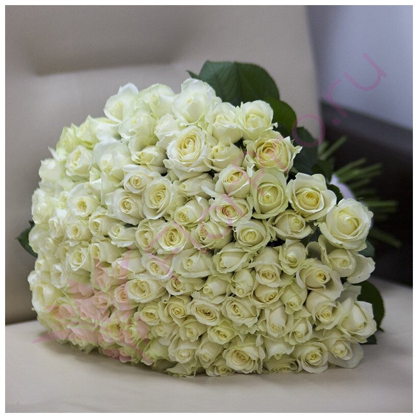 Букет цветов живые 101 белая роза Аваланч 50 см