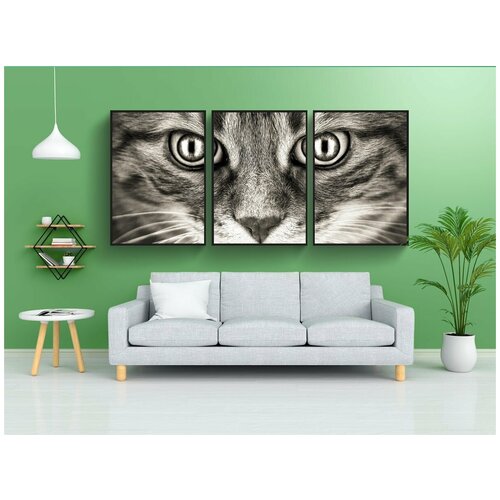 фото Набор модулных постеров для интерьера "бад взгляд, кот, скумбрия" 60x90 см. в тубусе, без рамки lotsprints