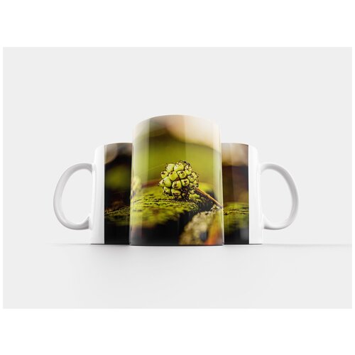 фото Кружка "насекомое, городской, дерево" 320 мл lotsprints