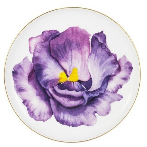 фото Тарелка десертная iris 19 см в подарочной упаковке, костяной фарфор, anna lafarg emily, al-504ir-e11