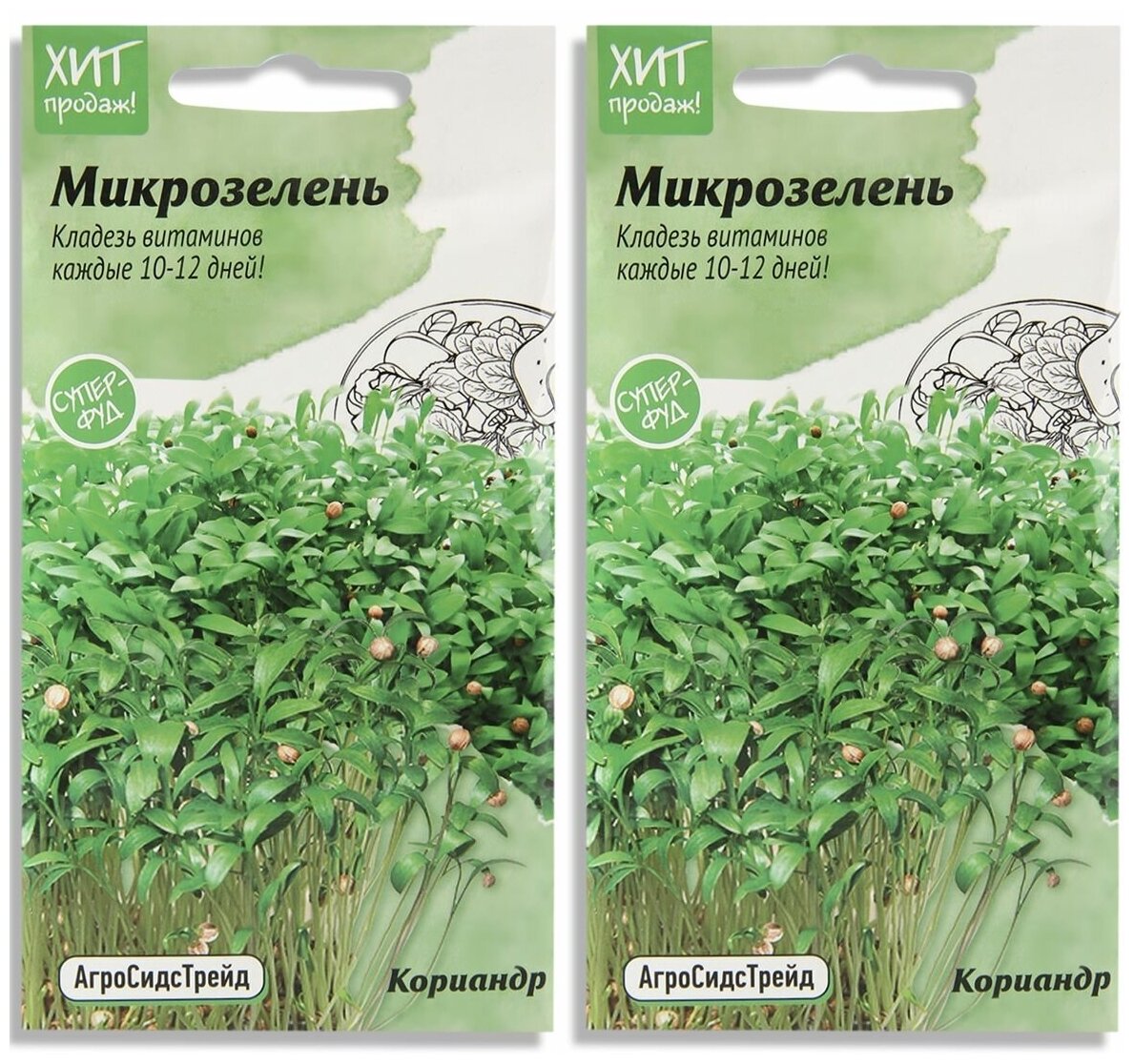 Набор семян Микрозелень Кориандр для проращивания АСТ - 2 уп.