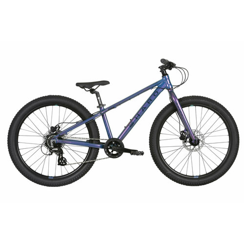 Велосипед Haro Flightline 20 Plus DS 2023 4370000₽