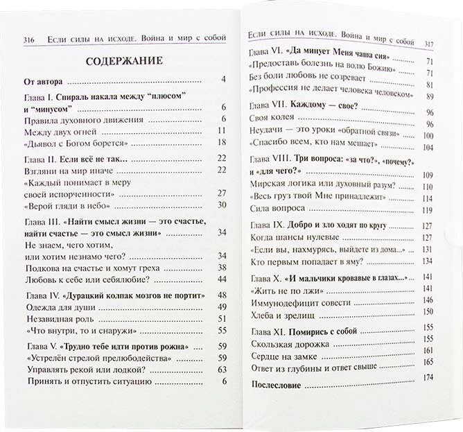 Если силы на исходе. Война и мир с собой - фото №19