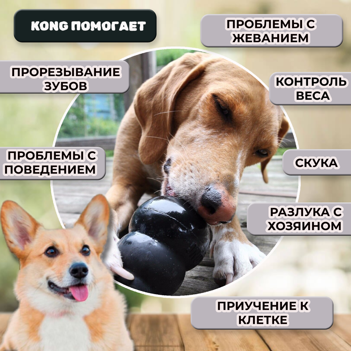 Игрушка для собак KONG L очень прочная большая, 10х6 см - фото №9
