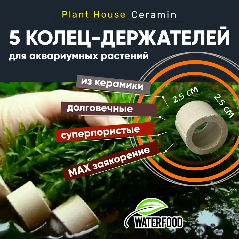 Керамические кольца-держатели Plant House Ceramin от Water Food (высота - 2,5 см, диаметр - 2,5 см), 5 шт.