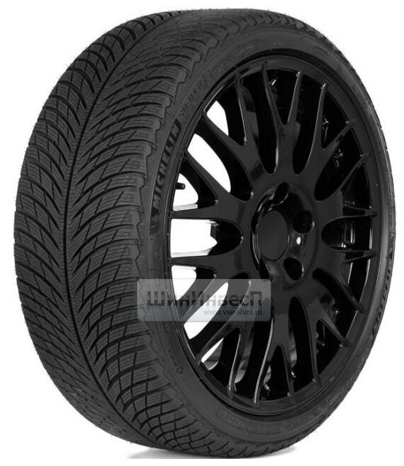 Шина Michelin(Мишлен) Pilot Alpin 5 305/30 R21 104V