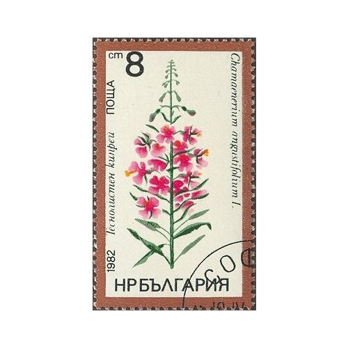 (1982-024) Марка Болгария "Иван-чай" Лекарственные растения II Θ