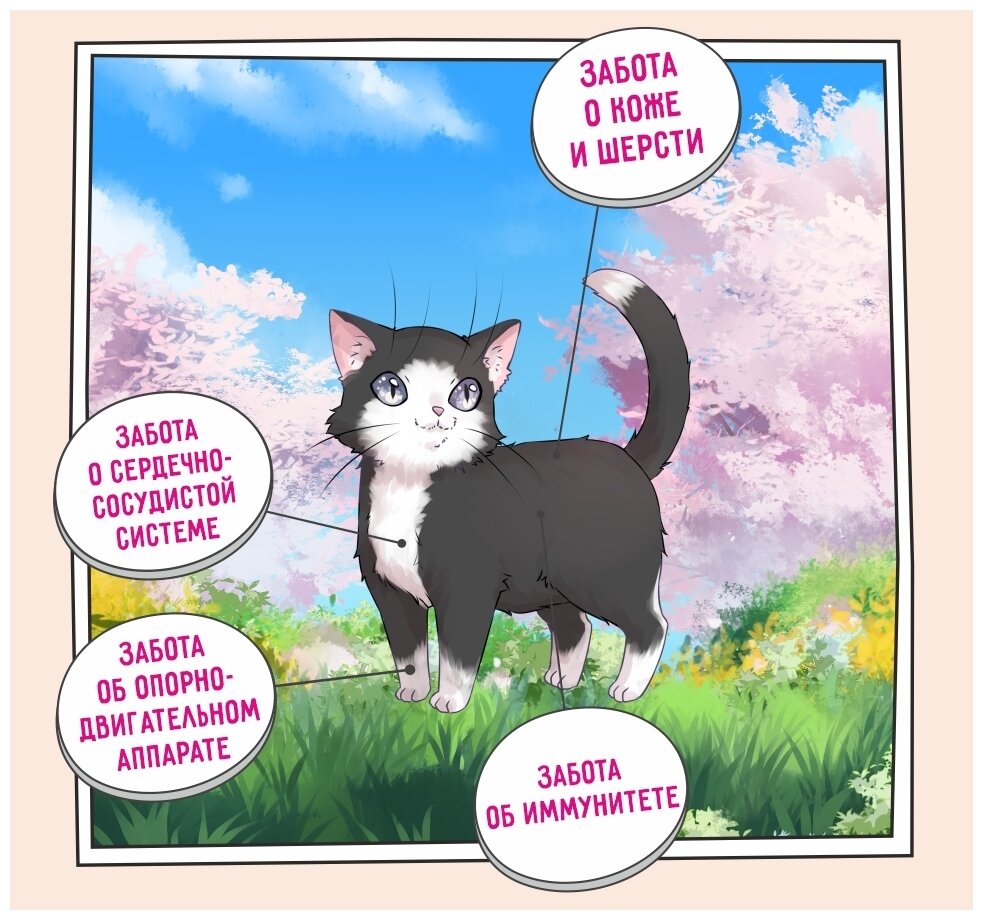 ZILLII Kitten Сухой корм для котят Индейка с Ягнёнком 2кг — купить в ...