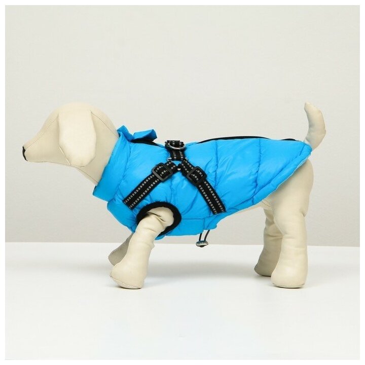 Куртка для собаксо шлейкой, размер 14 (ДС 32 см, ОГ 42 см, ОШ 31 см), лазурная - фотография № 6